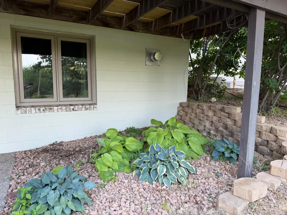 24251 315th Avenue Long Prairie, MN 56347
