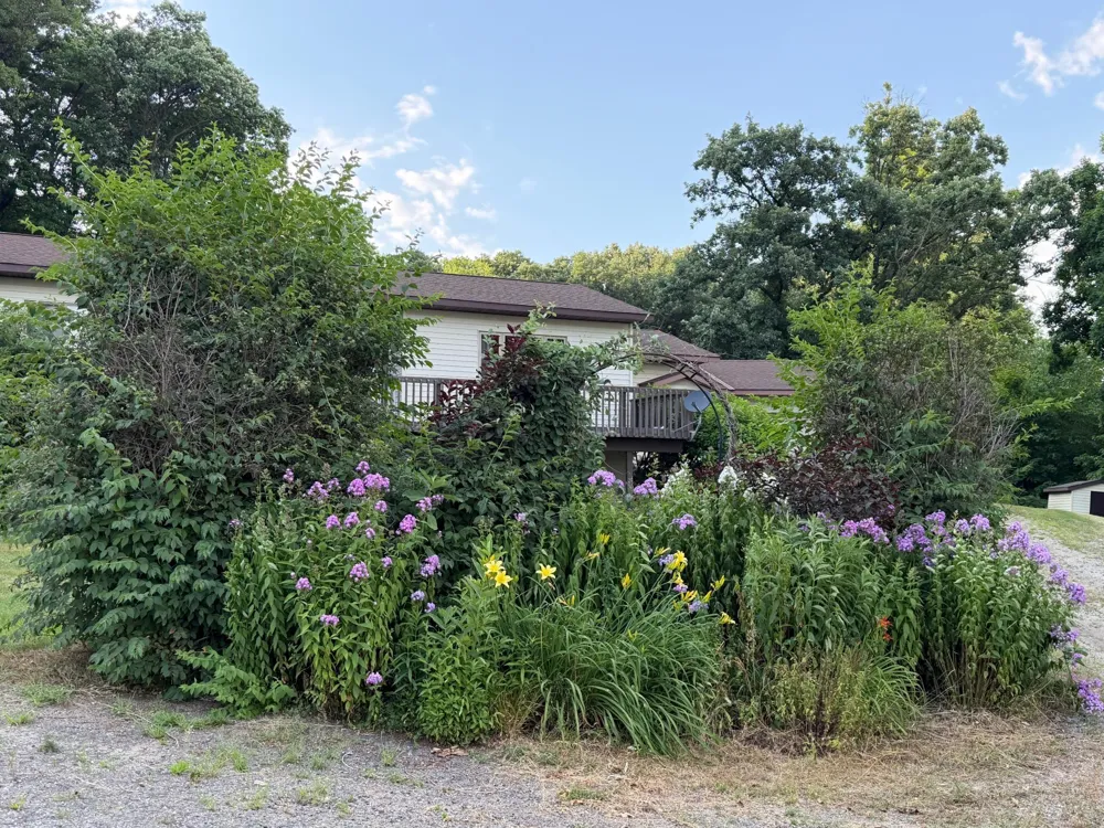24251 315th Avenue Long Prairie, MN 56347