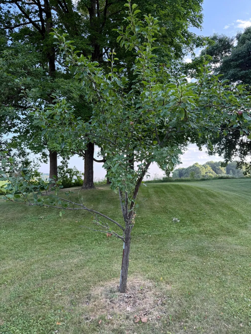 24251 315th Avenue Long Prairie, MN 56347