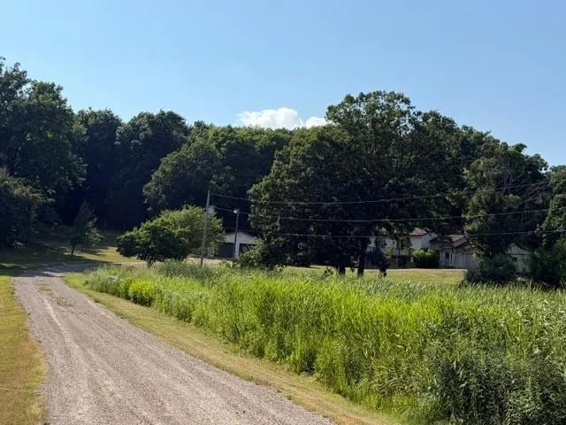 24251 315th Avenue Long Prairie, MN 56347