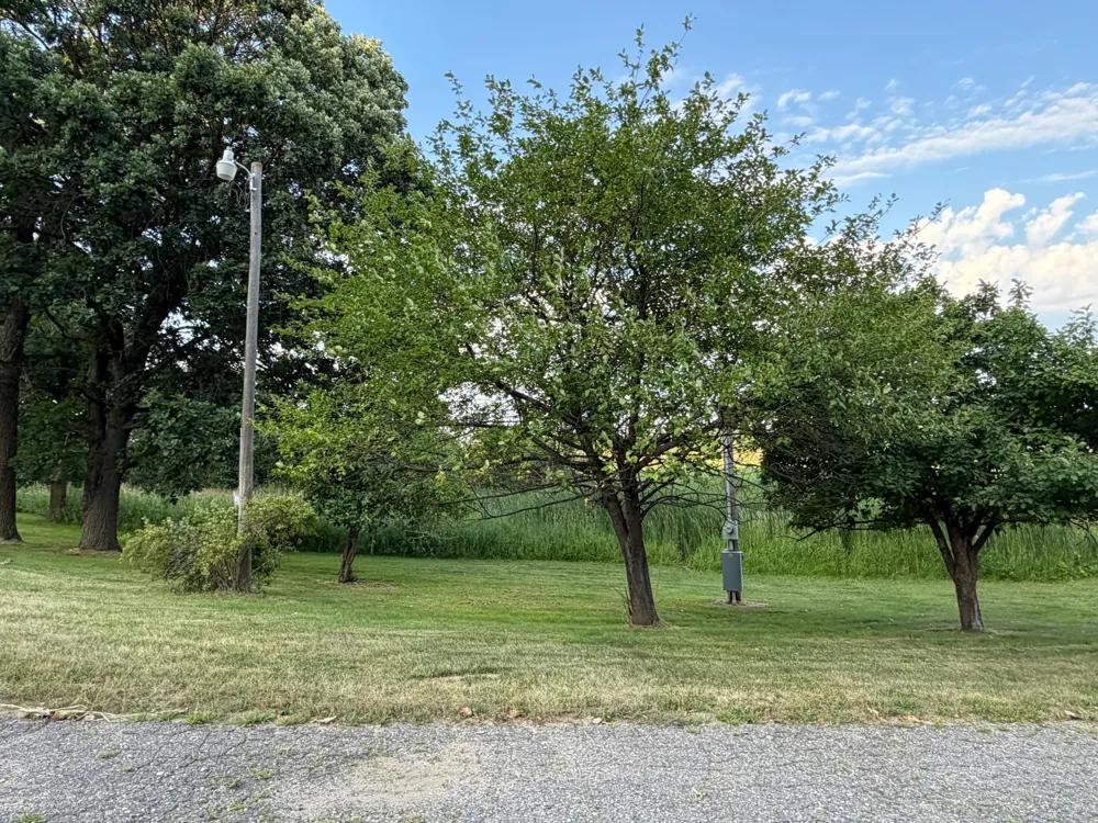 24251 315th Avenue Long Prairie, MN 56347