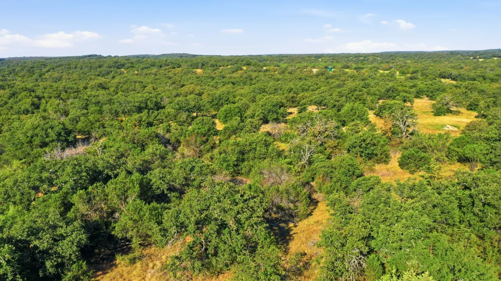 613 Promise Trail Ranger, TX 76470