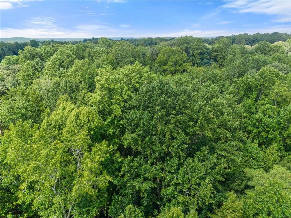 5720 Winding Rose Trail Flowery Branch, GA 30542