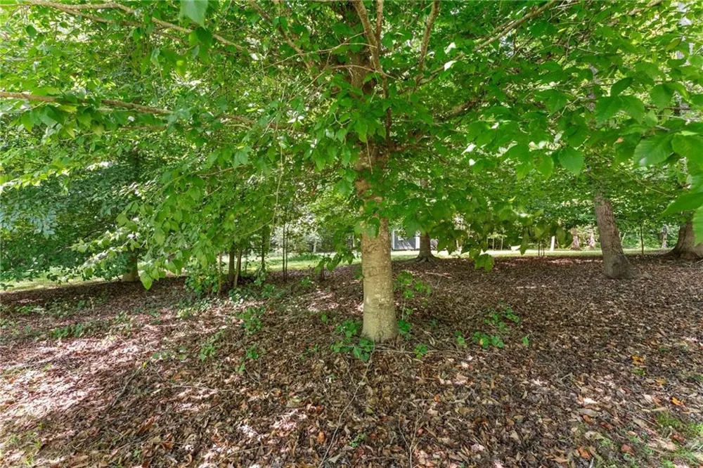 5720 Winding Rose Trail Flowery Branch, GA 30542