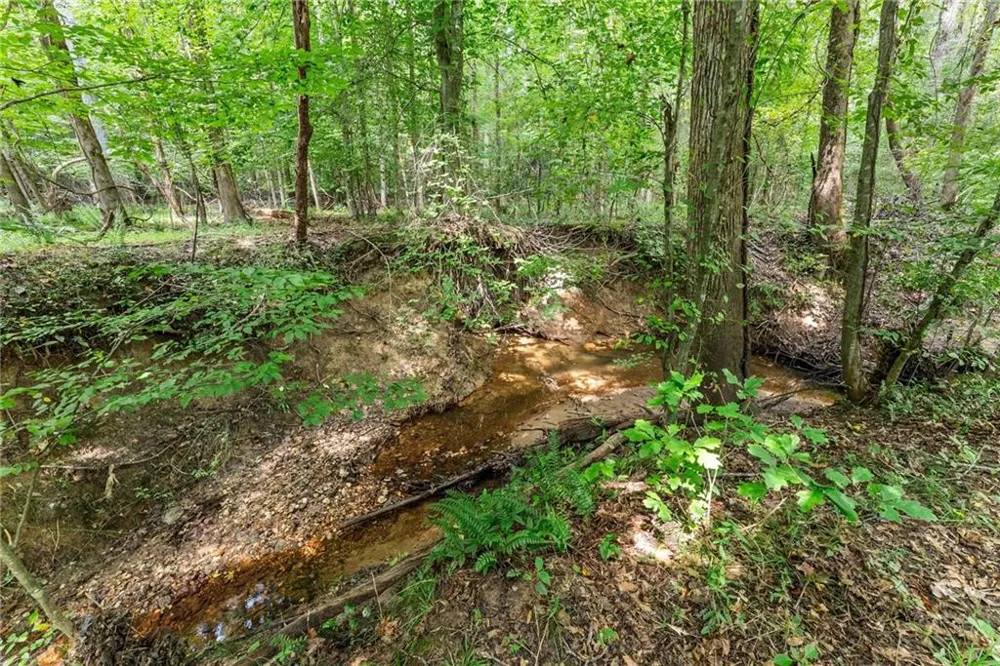 5720 Winding Rose Trail Flowery Branch, GA 30542
