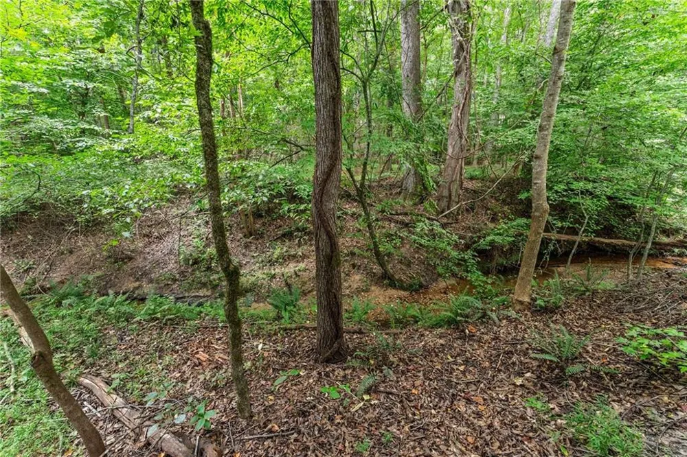 5720 Winding Rose Trail Flowery Branch, GA 30542