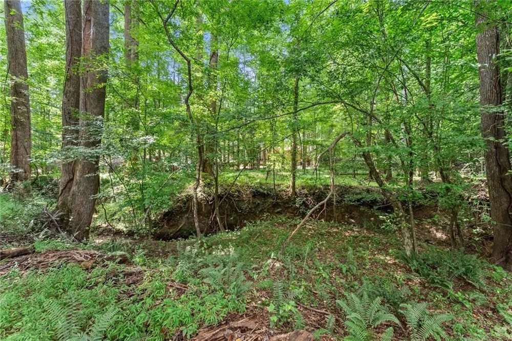 5720 Winding Rose Trail Flowery Branch, GA 30542