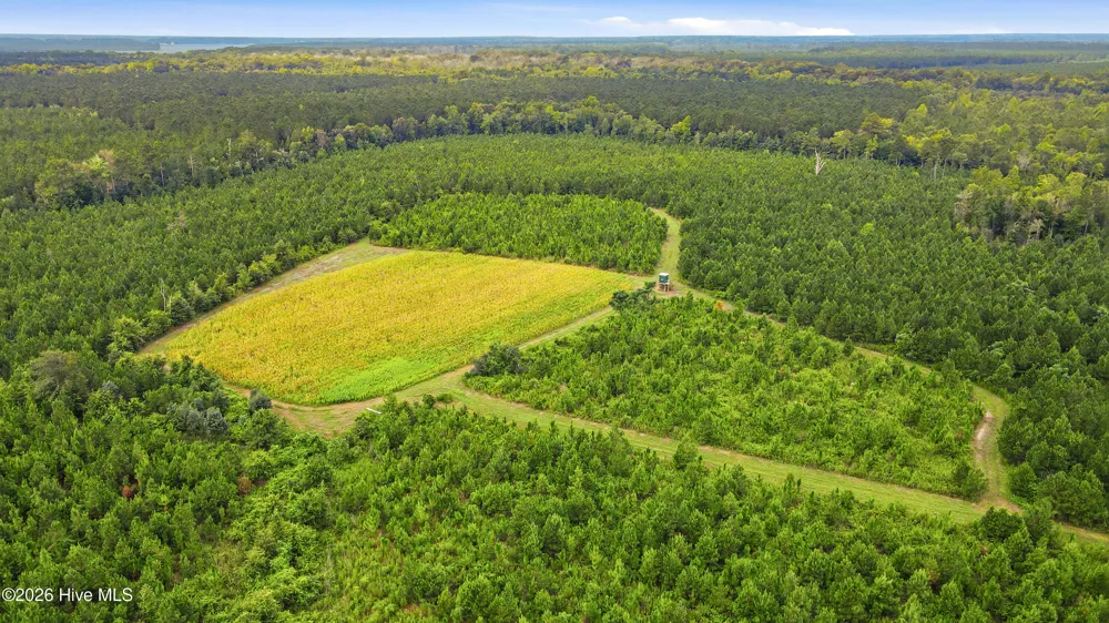 795 Pollard Swamp Road Vanceboro, NC 28586