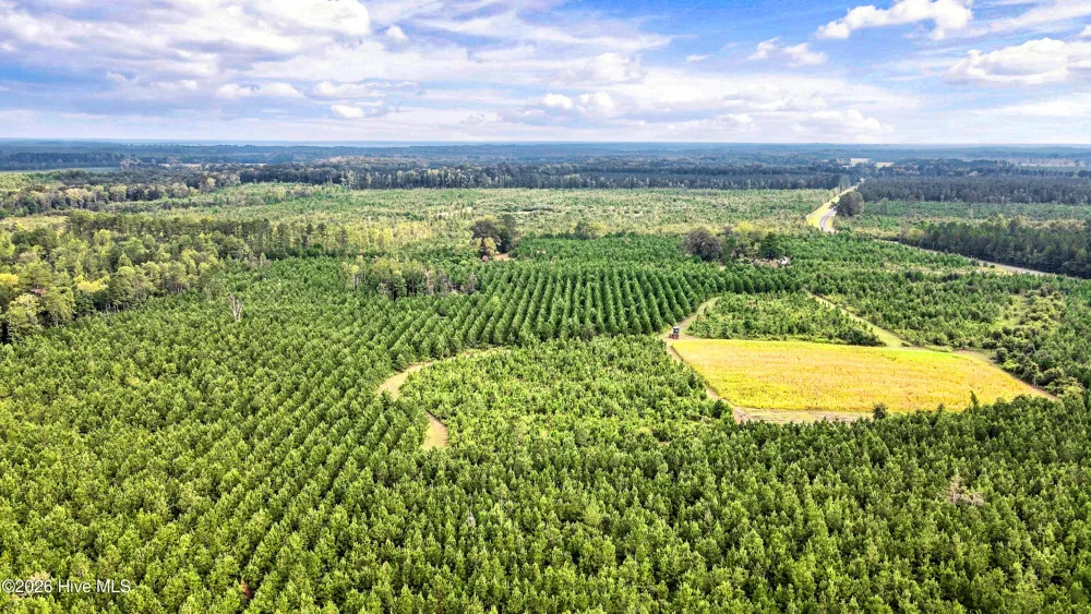 795 Pollard Swamp Road Vanceboro, NC 28586