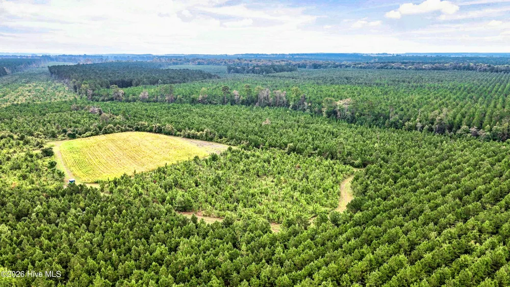 795 Pollard Swamp Road Vanceboro, NC 28586