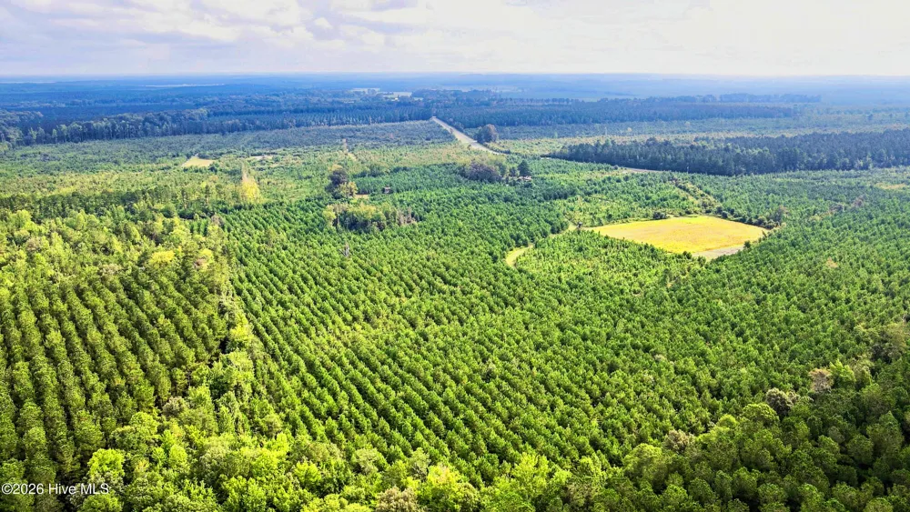 795 Pollard Swamp Road Vanceboro, NC 28586