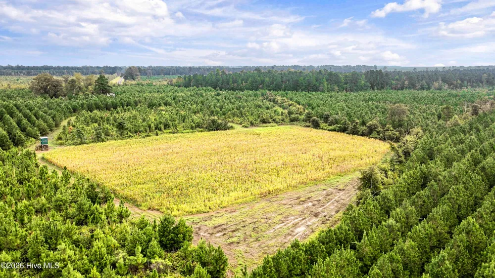 795 Pollard Swamp Road Vanceboro, NC 28586
