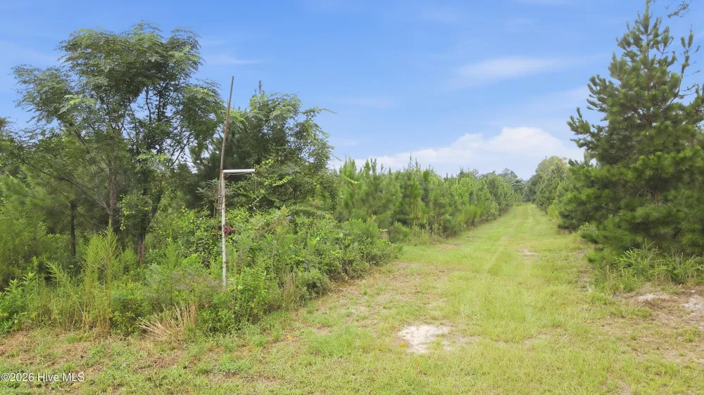 795 Pollard Swamp Road Vanceboro, NC 28586