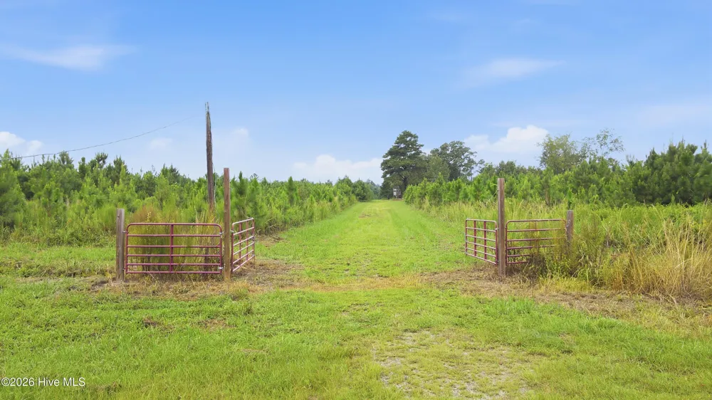 795 Pollard Swamp Road Vanceboro, NC 28586