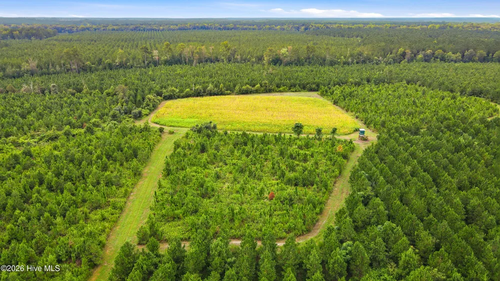 795 Pollard Swamp Road Vanceboro, NC 28586
