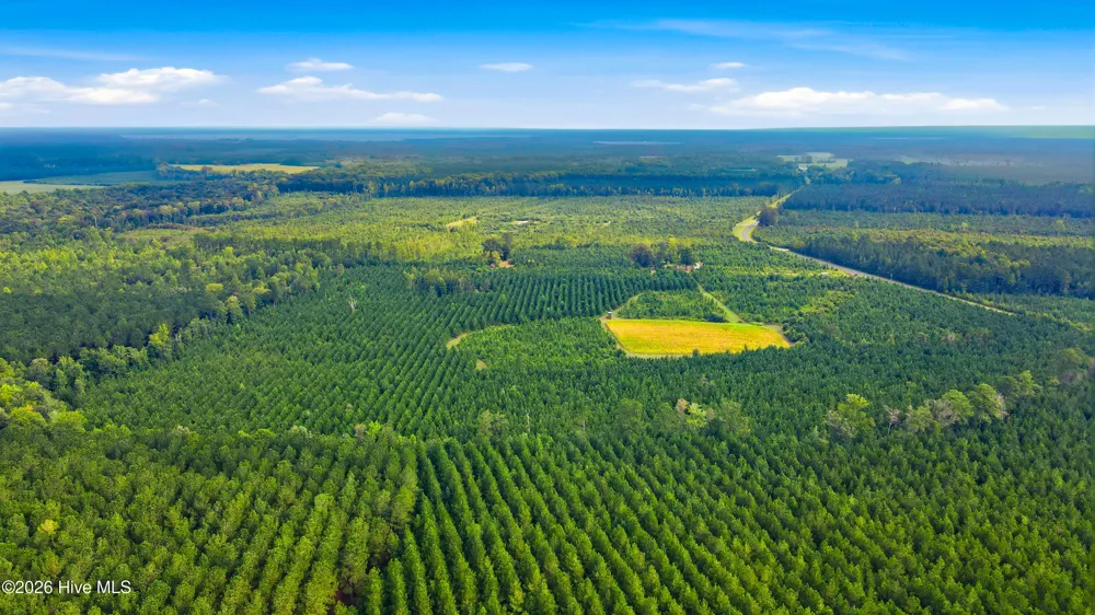 795 Pollard Swamp Road Vanceboro, NC 28586