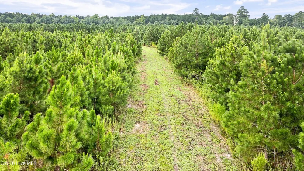 795 Pollard Swamp Road Vanceboro, NC 28586