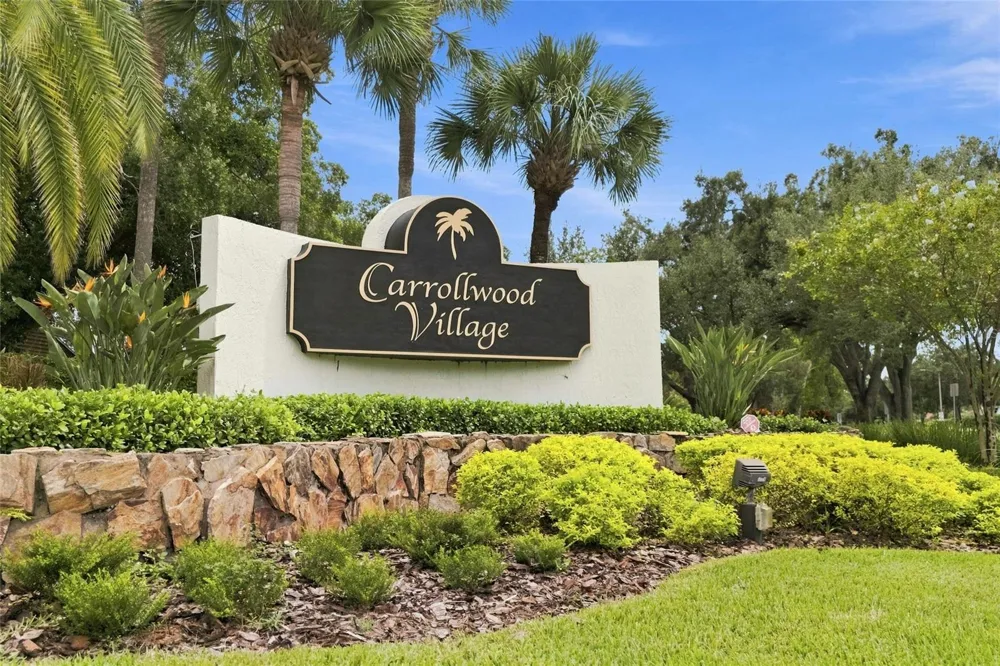 5033 CYPRESS TRACE DRIVE Tampa, FL 33624