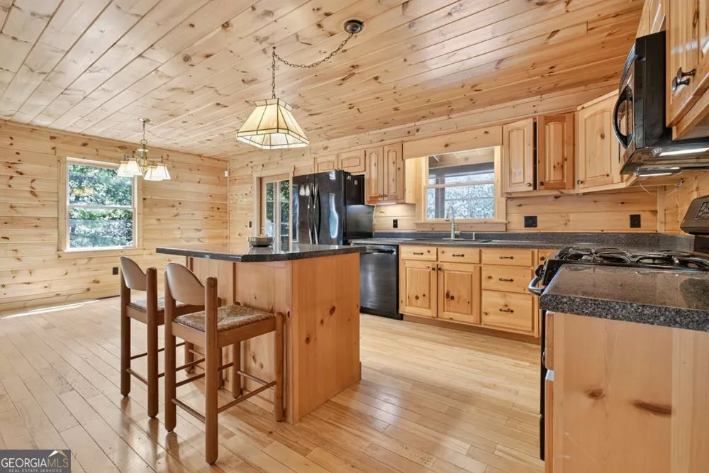 388 Palisade DR Ellijay, GA 30540