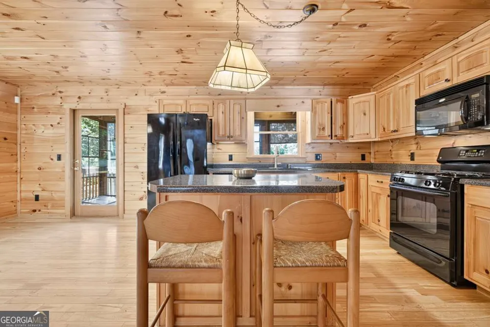 388 Palisade DR Ellijay, GA 30540