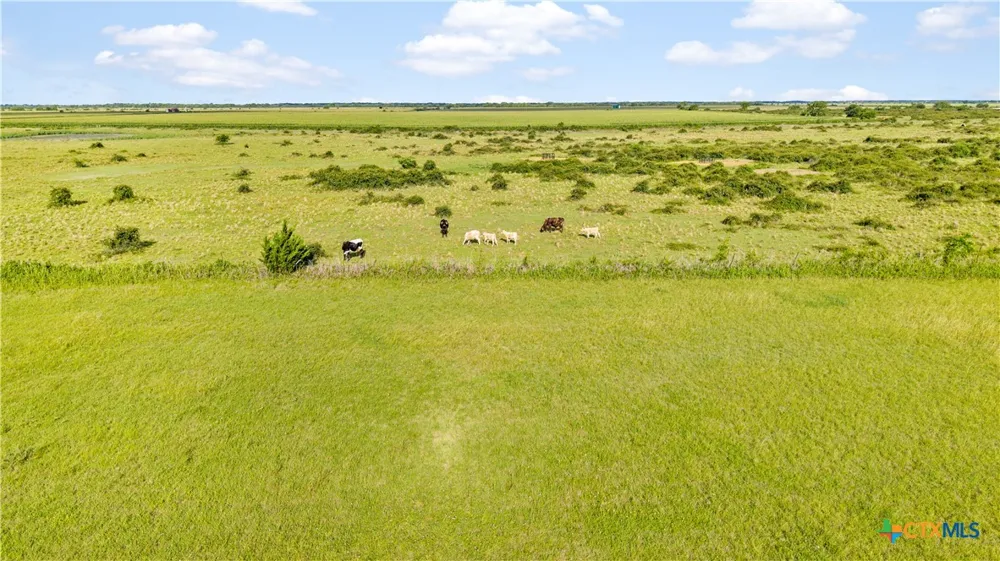 CR 311 Louise, TX 77455