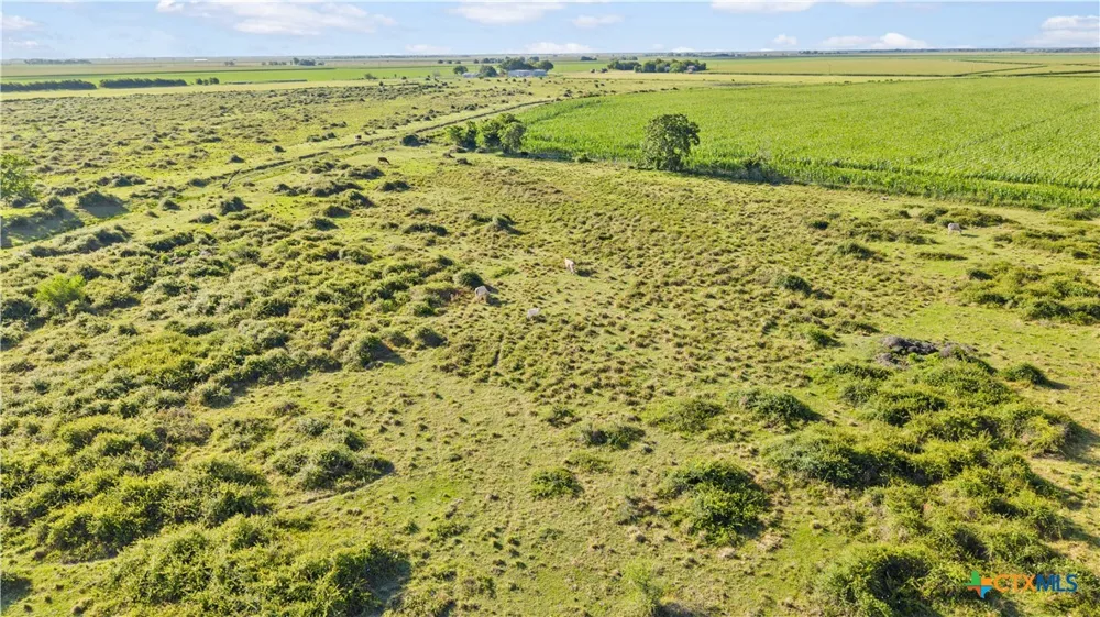 CR 311 Louise, TX 77455