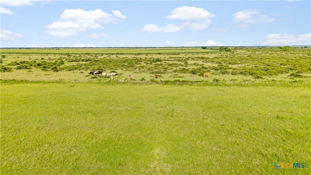 CR 311 Louise, TX 77455