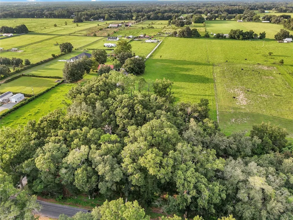 000 SE 160TH STREET Summerfield, FL 34491