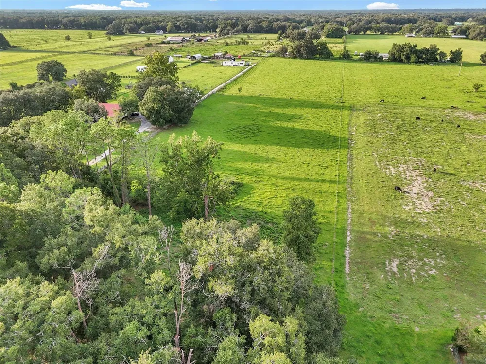 000 SE 160TH STREET Summerfield, FL 34491
