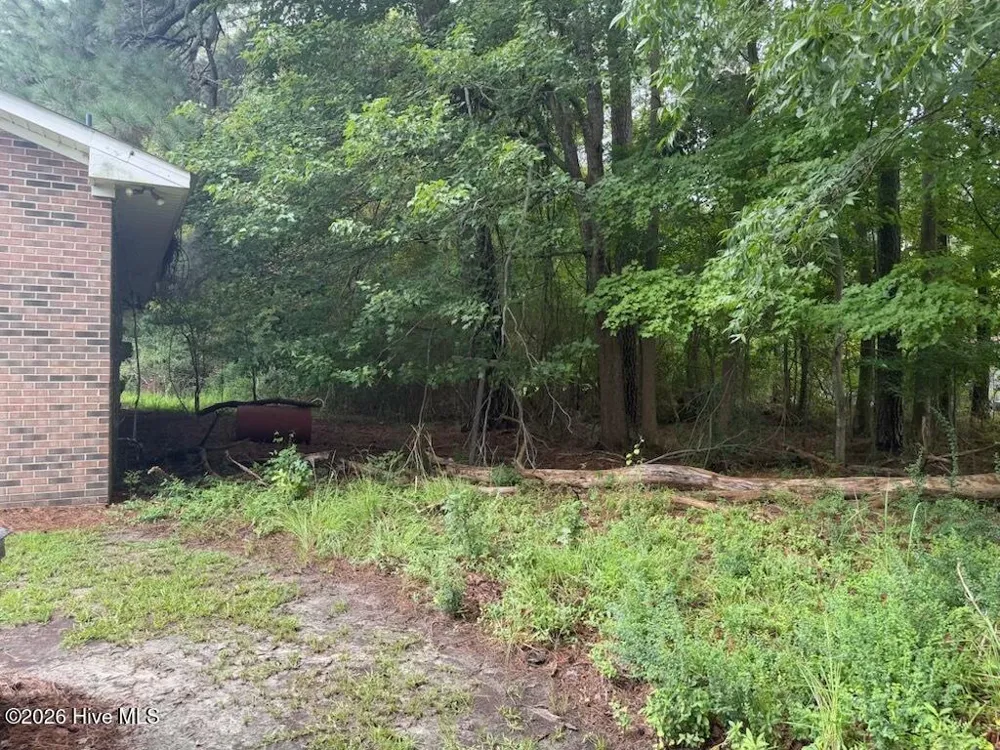 106 S Grandy Lane Windsor, NC 27983