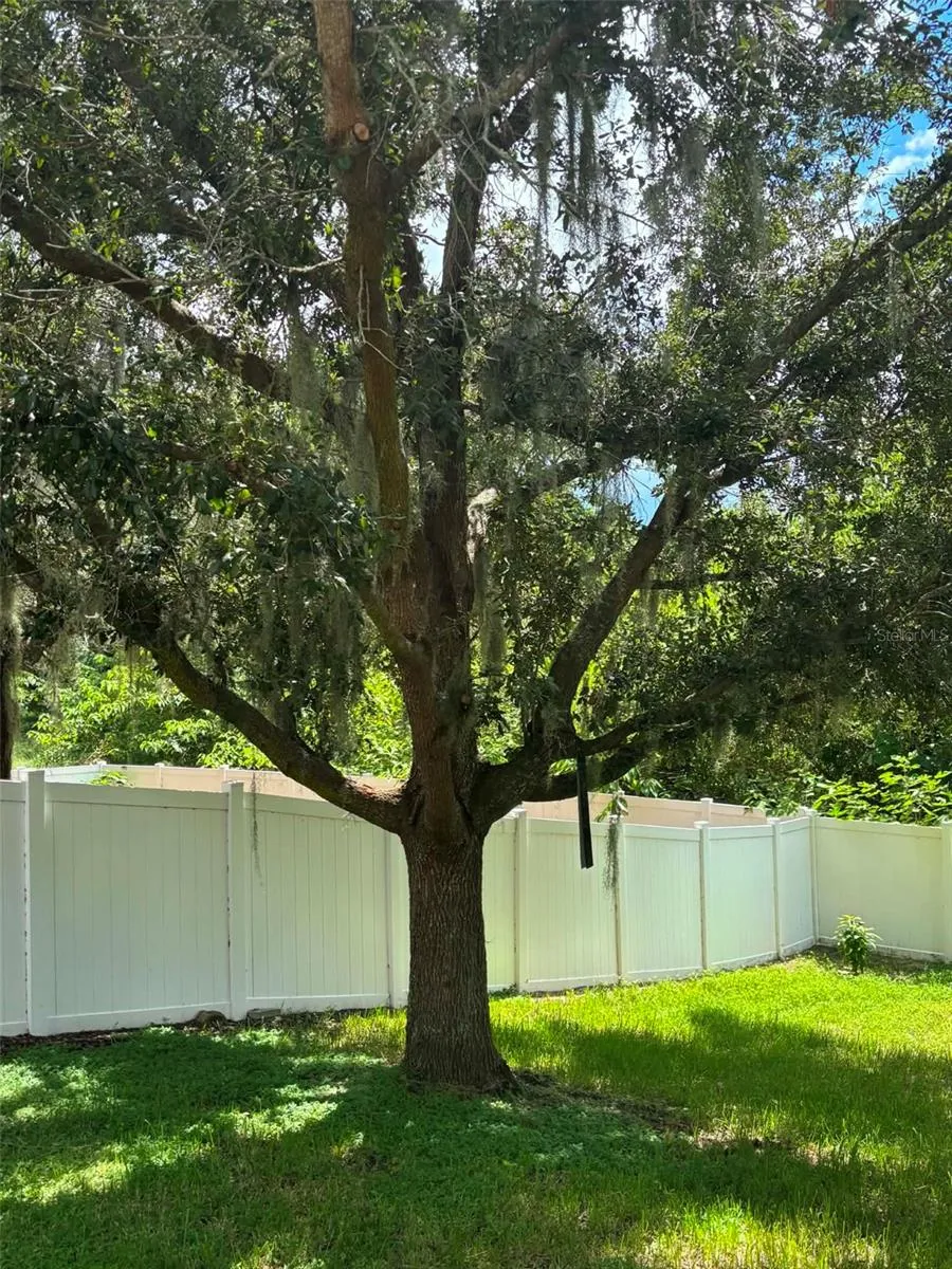 2979 ETOWAH PARK BOULEVARD Tavares, FL 32778