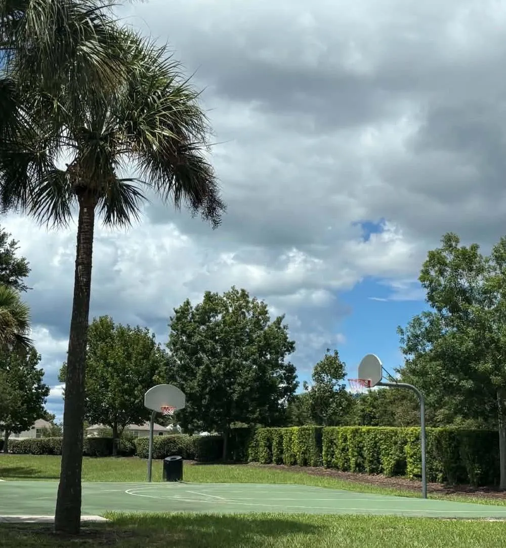 2979 ETOWAH PARK BOULEVARD Tavares, FL 32778