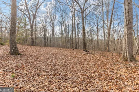 13 ACRES Percheron DR