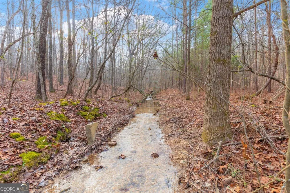 13 ACRES Percheron DR Dalton, GA 30720