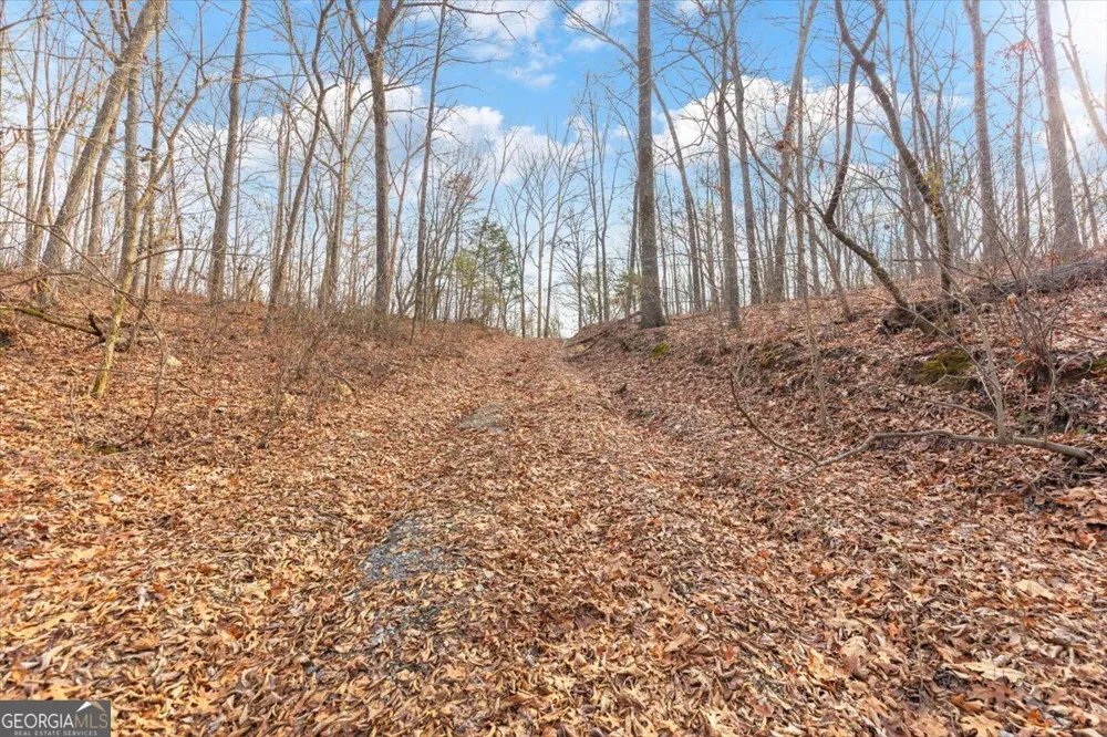 13 ACRES Percheron DR Dalton, GA 30720
