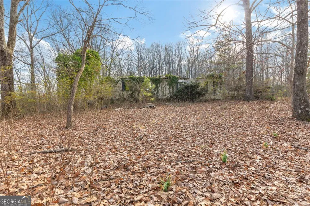 13 ACRES Percheron DR Dalton, GA 30720