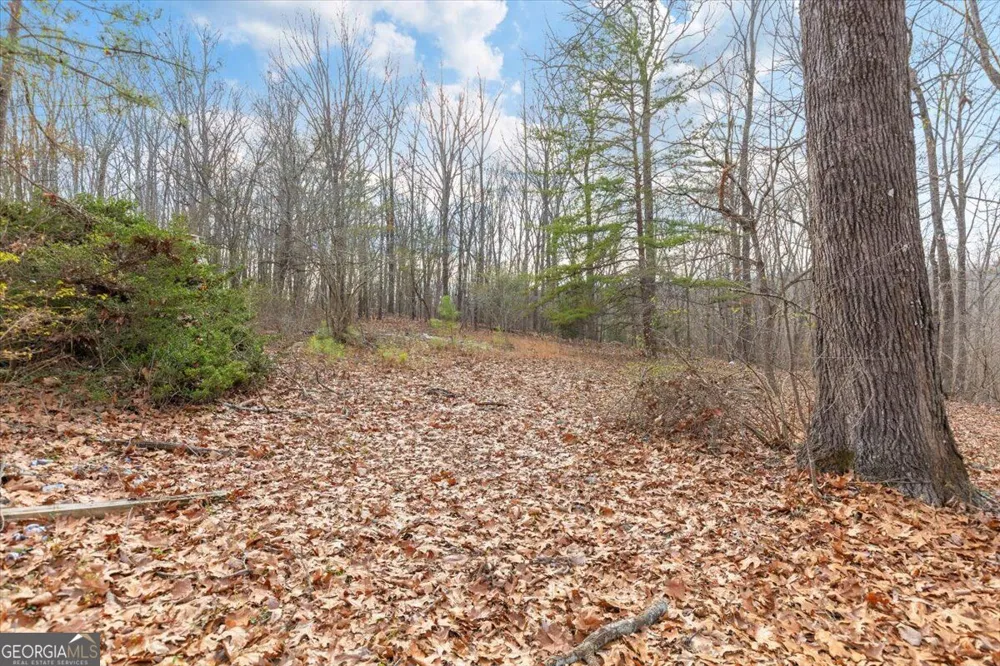 13 ACRES Percheron DR Dalton, GA 30720