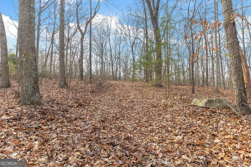 13 ACRES Percheron DR Dalton, GA 30720