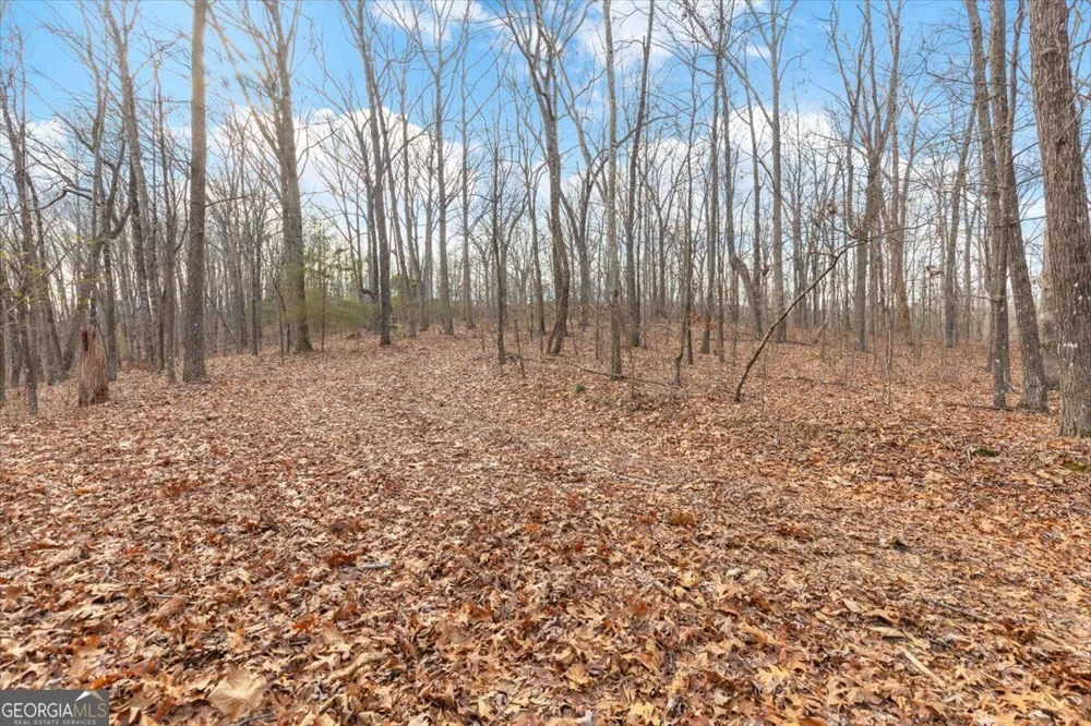 13 ACRES Percheron DR Dalton, GA 30720