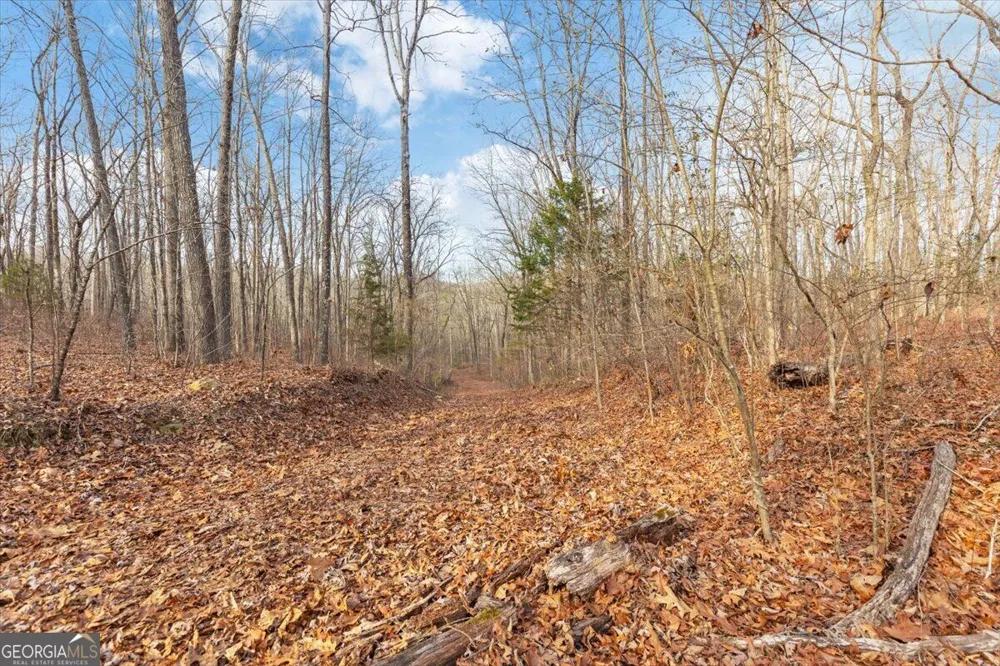 13 ACRES Percheron DR Dalton, GA 30720