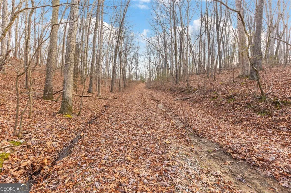 13 ACRES Percheron DR Dalton, GA 30720