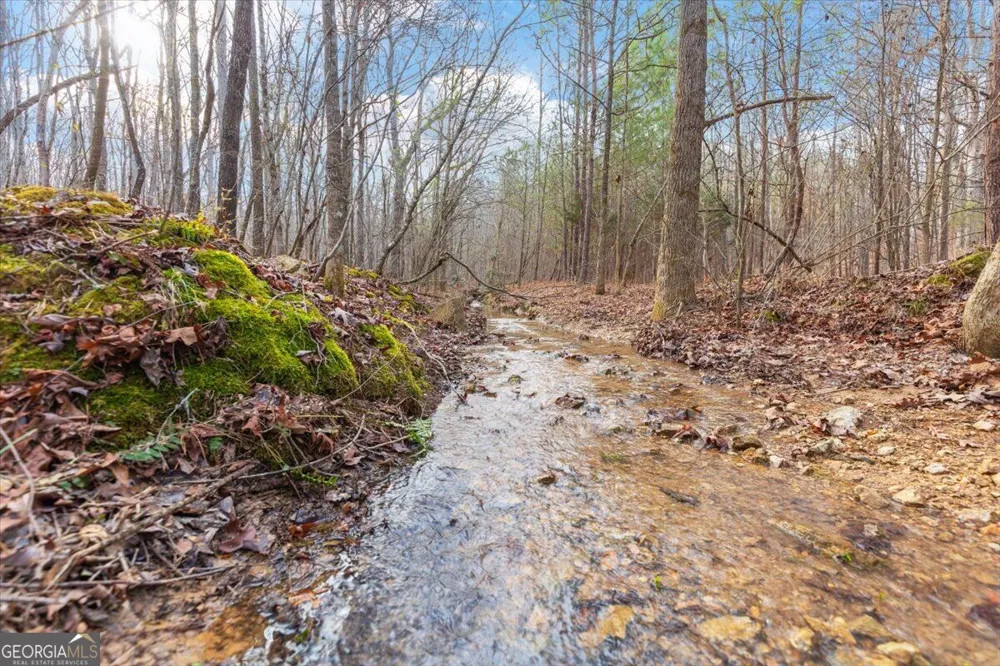 13 ACRES Percheron DR Dalton, GA 30720