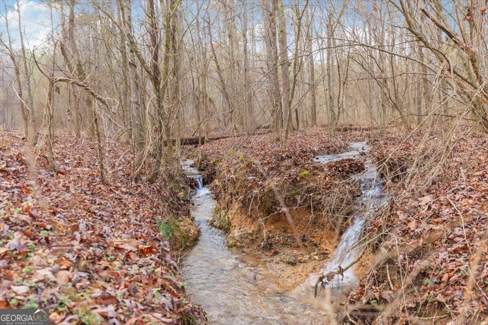13 ACRES Percheron DR Dalton, GA 30720