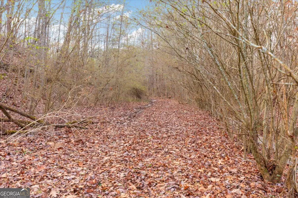 13 ACRES Percheron DR Dalton, GA 30720