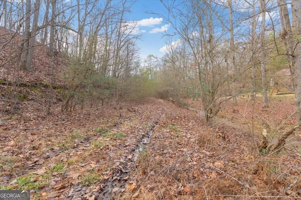 13 ACRES Percheron DR Dalton, GA 30720