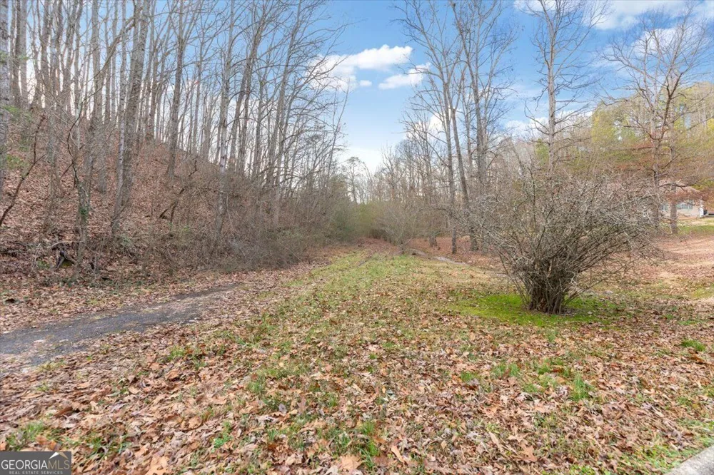 13 ACRES Percheron DR Dalton, GA 30720