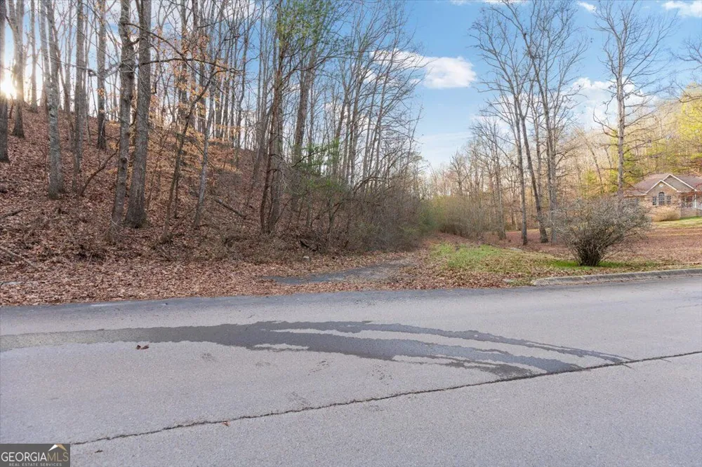 13 ACRES Percheron DR Dalton, GA 30720