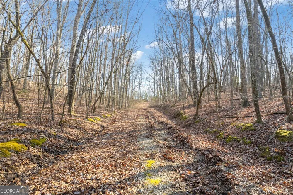 13 ACRES Percheron DR Dalton, GA 30720