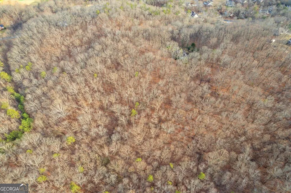 13 ACRES Percheron DR Dalton, GA 30720