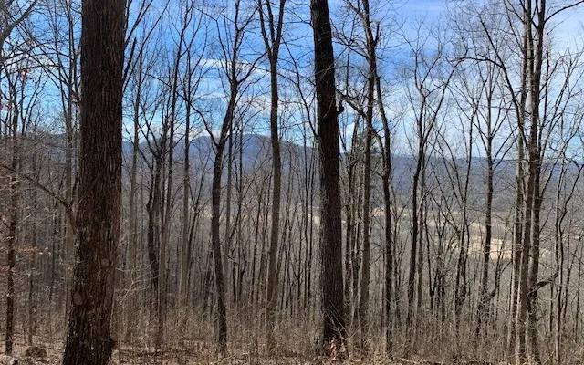 Lot 2 Rocky Knob Estates Young Harris, GA 30582